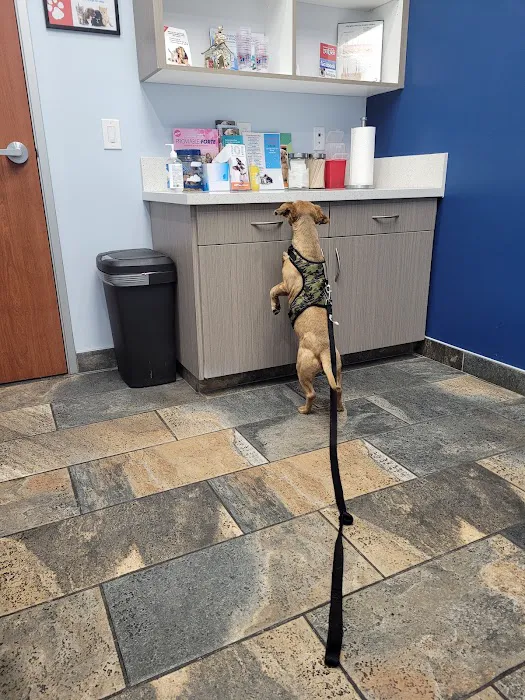 Rancho West Animal Hospital Picture 9