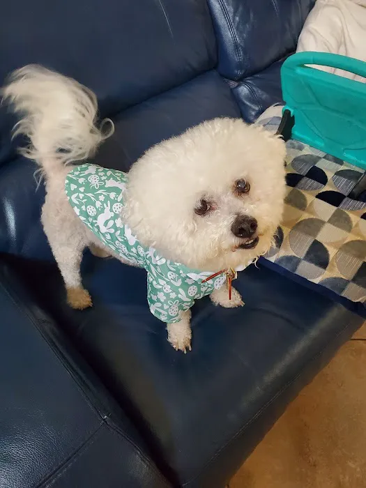 Rancho West Animal Hospital Picture 8