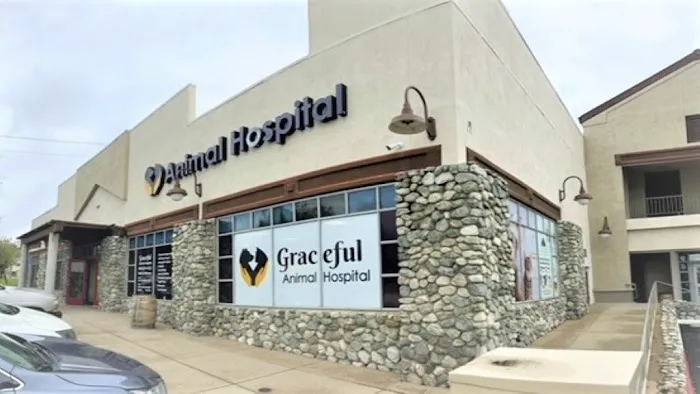 Graceful Animal Hospital Picture 1