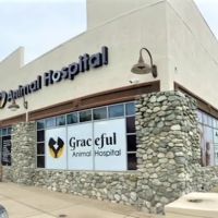 Graceful Animal Hospital ico