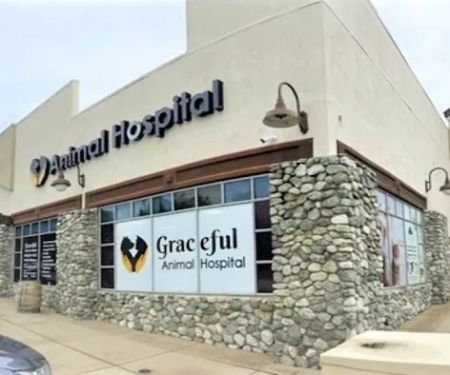 Graceful Animal Hospital
