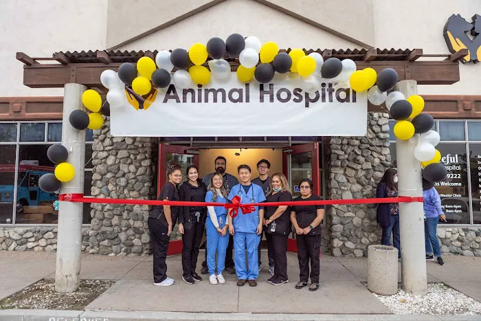 Graceful Animal Hospital Picture 3