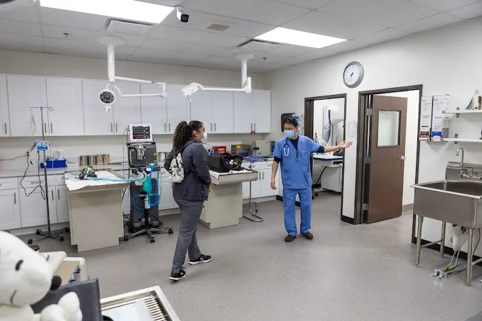 Graceful Animal Hospital Picture 4