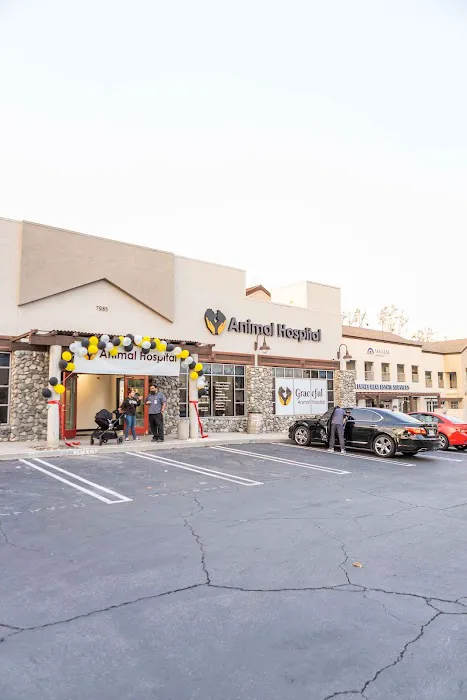 Graceful Animal Hospital Picture 10