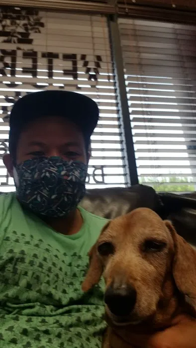 Home Vet House Call Services Picture 4
