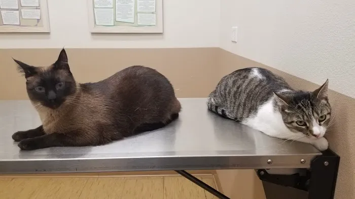 Golden Oaks Veterinary Hospital Picture 2