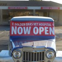 Golden Oaks Veterinary Hospital ico