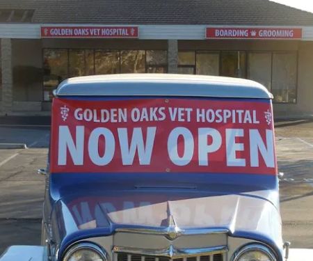 Golden Oaks Veterinary Hospital