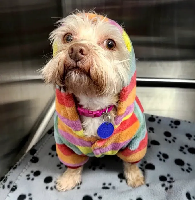 New Haven Animal Hospital Picture 1