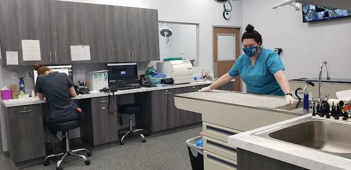 New Haven Animal Hospital Picture 6