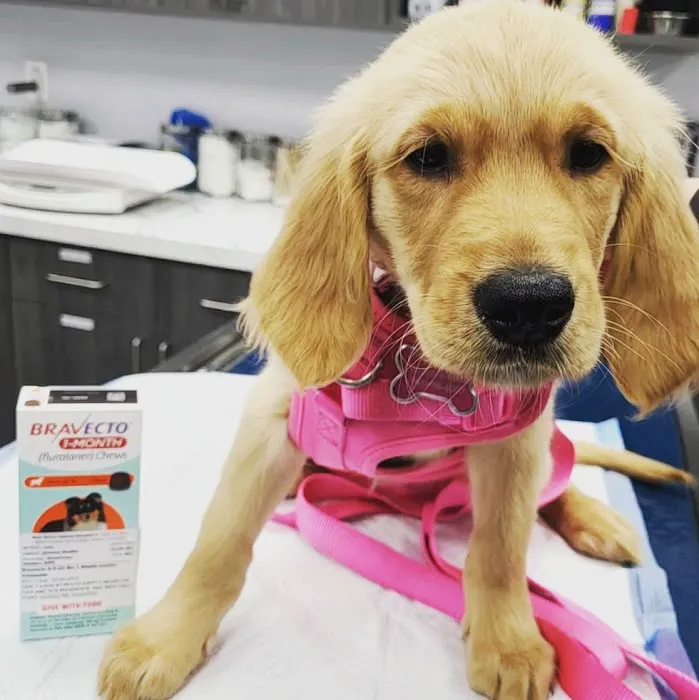 New Haven Animal Hospital Picture 9