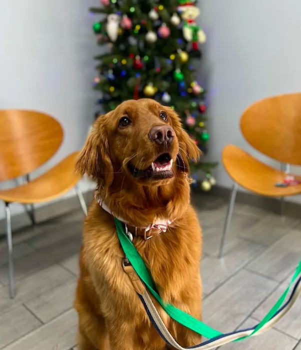 New Haven Animal Hospital Picture 10