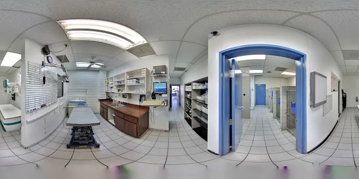 Alta Rancho Pet & Bird Hospital Picture 3