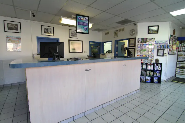 Alta Rancho Pet & Bird Hospital Picture 2