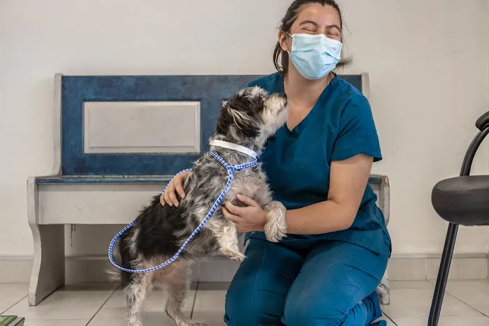 Alta Rancho Pet & Bird Hospital Picture 5