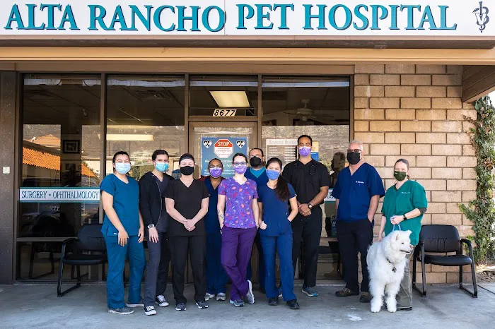 Alta Rancho Pet & Bird Hospital Picture 4
