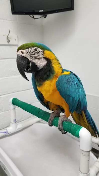 Alta Rancho Pet & Bird Hospital Picture 8