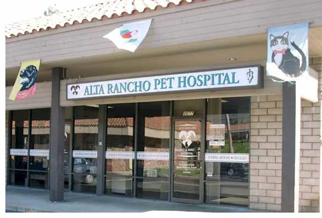 Alta Rancho Pet & Bird Hospital Picture 9