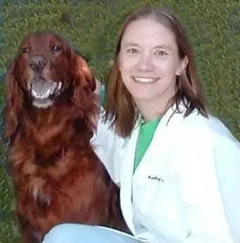 Kathy Henderson, D.V.M. Picture 1