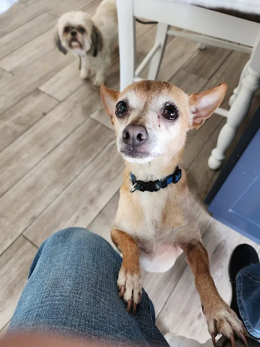 Alta Loma Animal Hospital Picture 2