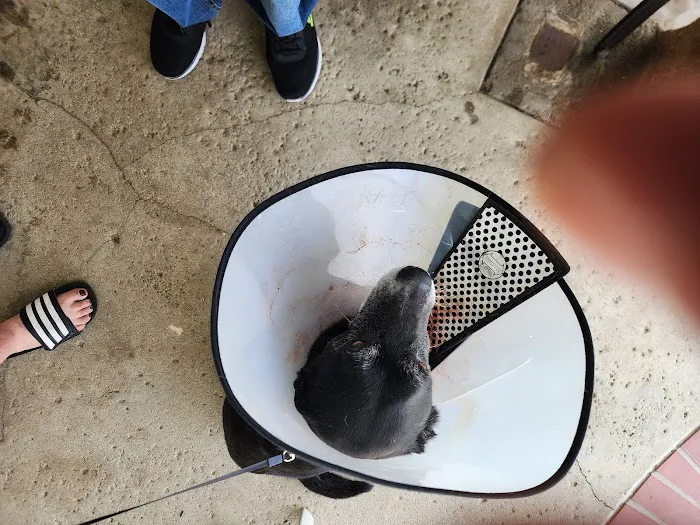 Alta Loma Animal Hospital Picture 6