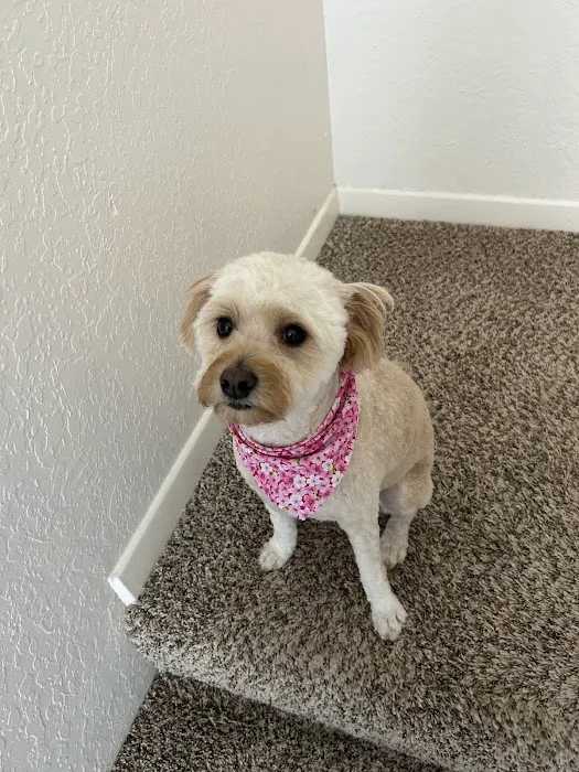 Alta Loma Animal Hospital Picture 8