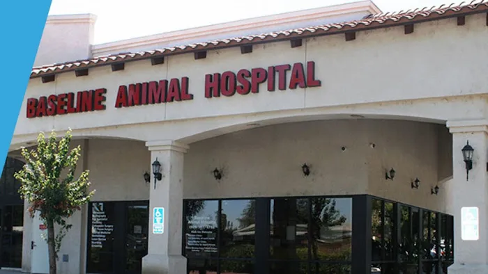 Baseline Animal Hospital, Boarding, & Grooming Picture 3