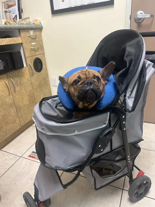 Baseline Animal Hospital, Boarding, & Grooming Picture 5