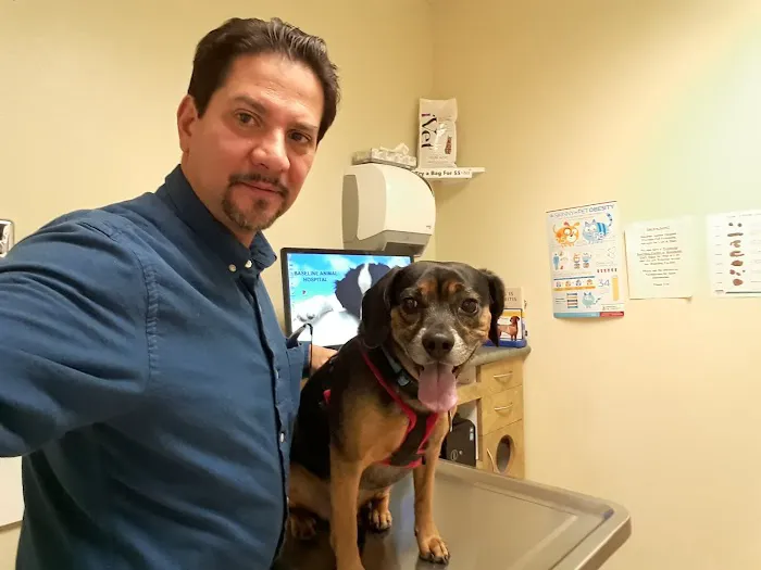 Baseline Animal Hospital, Boarding, & Grooming Picture 8