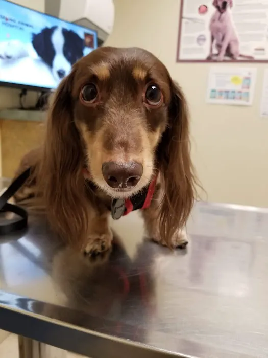 Baseline Animal Hospital, Boarding, & Grooming Picture 6