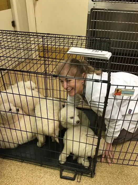 Brakebill Veterinary Hospital Picture 1