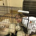Brakebill Veterinary Hospital