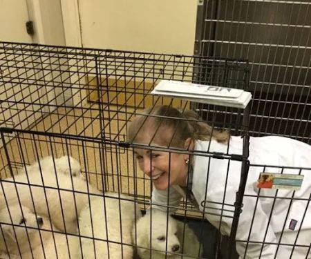Brakebill Veterinary Hospital