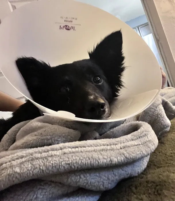 Brakebill Veterinary Hospital Picture 4