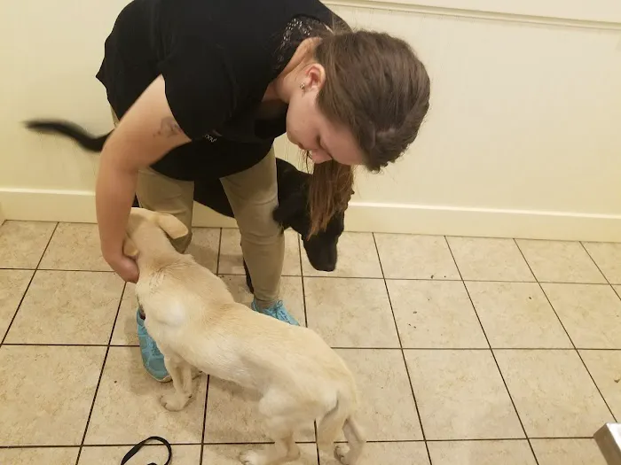 Brakebill Veterinary Hospital Picture 8