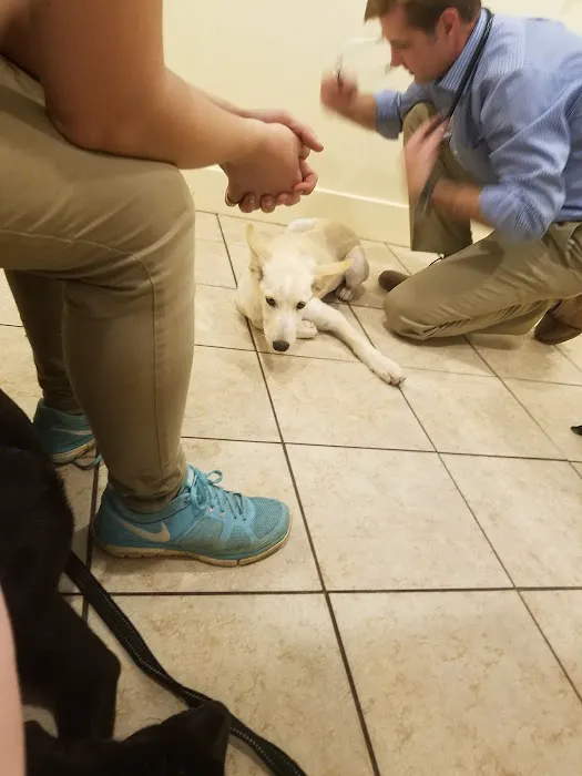 Brakebill Veterinary Hospital Picture 9