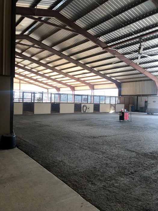 Performance Equine Associates Picture 2