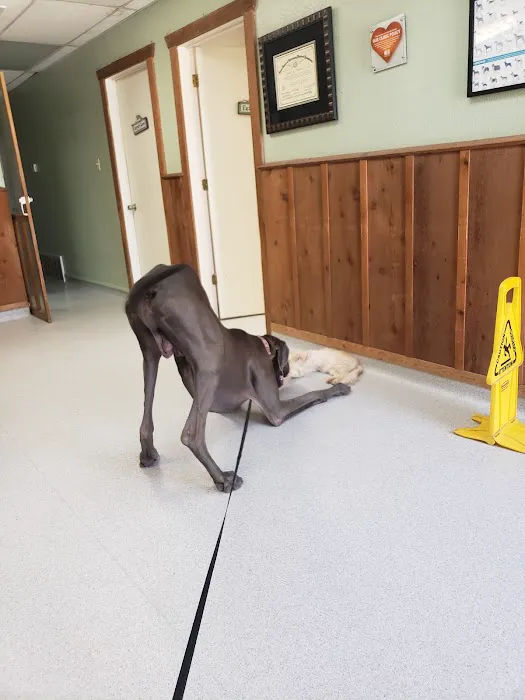 Marlin Veterinary Clinic Picture 3