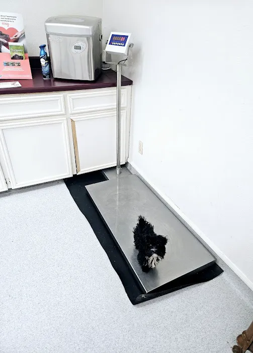 Marlin Veterinary Clinic Picture 6
