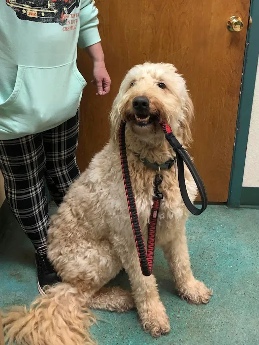 Judd Veterinary Clinic Picture 5