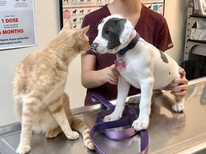 Judd Veterinary Clinic Picture 7