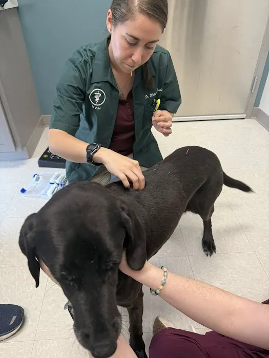 Judd Veterinary Clinic Picture 9
