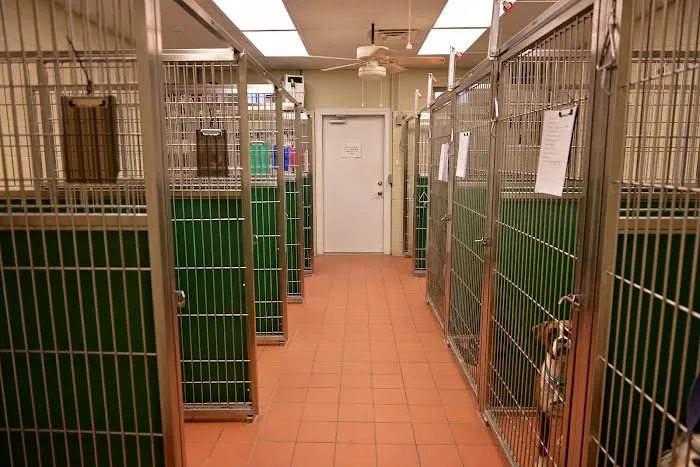 Green's Creek Veterinary Hospital Picture 9