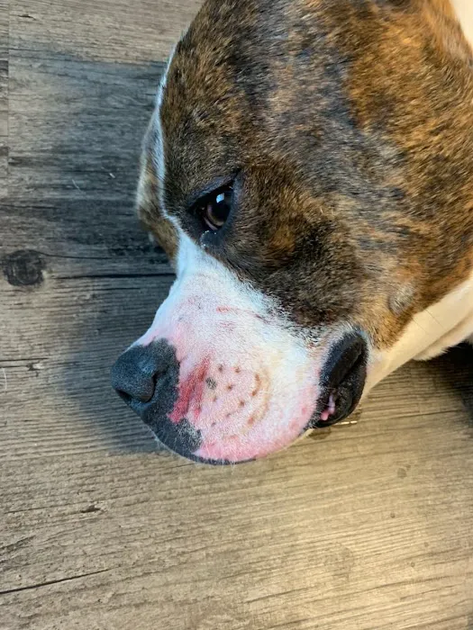 Ark Veterinary Hospital Picture 2