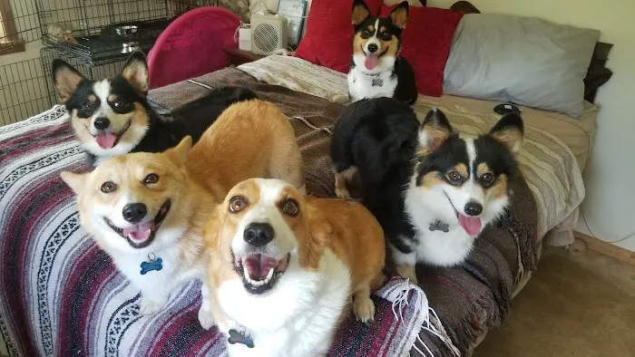 Ark Veterinary Hospital Picture 6