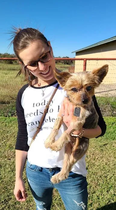 Cornerstone Animal Hospital Picture 1