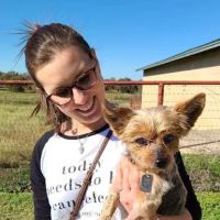 Cornerstone Animal Hospital ico