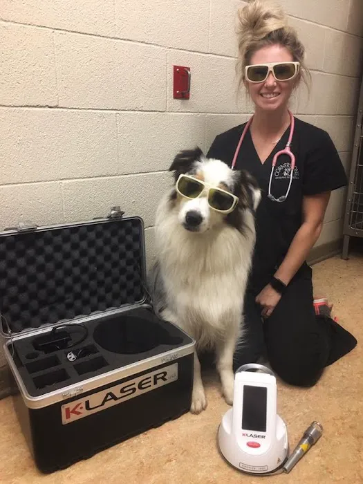 Cornerstone Animal Hospital Picture 6