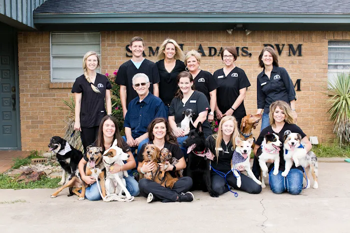 Cornerstone Animal Hospital Picture 7