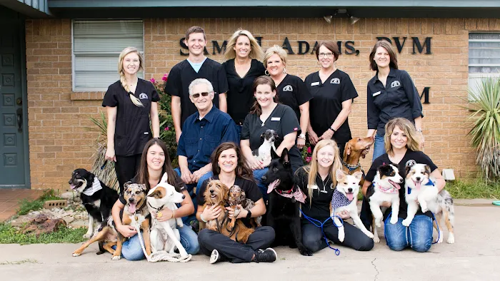 Cornerstone Animal Hospital Picture 8